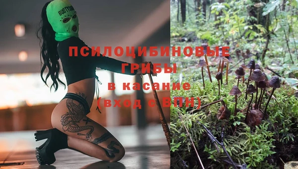 каннабис Арсеньев
