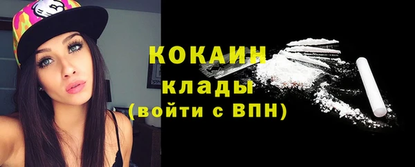 мяу мяу мука Аркадак