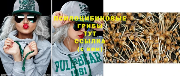 прущий лед Армянск